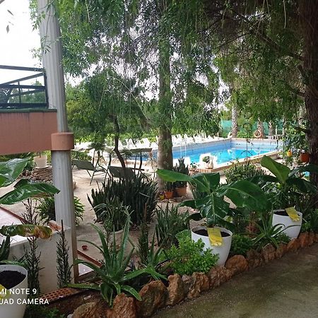 Casa Rural Complex Masia Del Tremendo Y Agroturismo Camarles Dış mekan fotoğraf