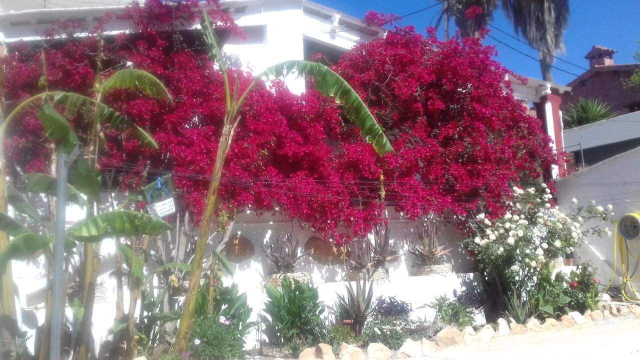 Casa Rural Complex Masia Del Tremendo Y Agroturismo Camarles Dış mekan fotoğraf