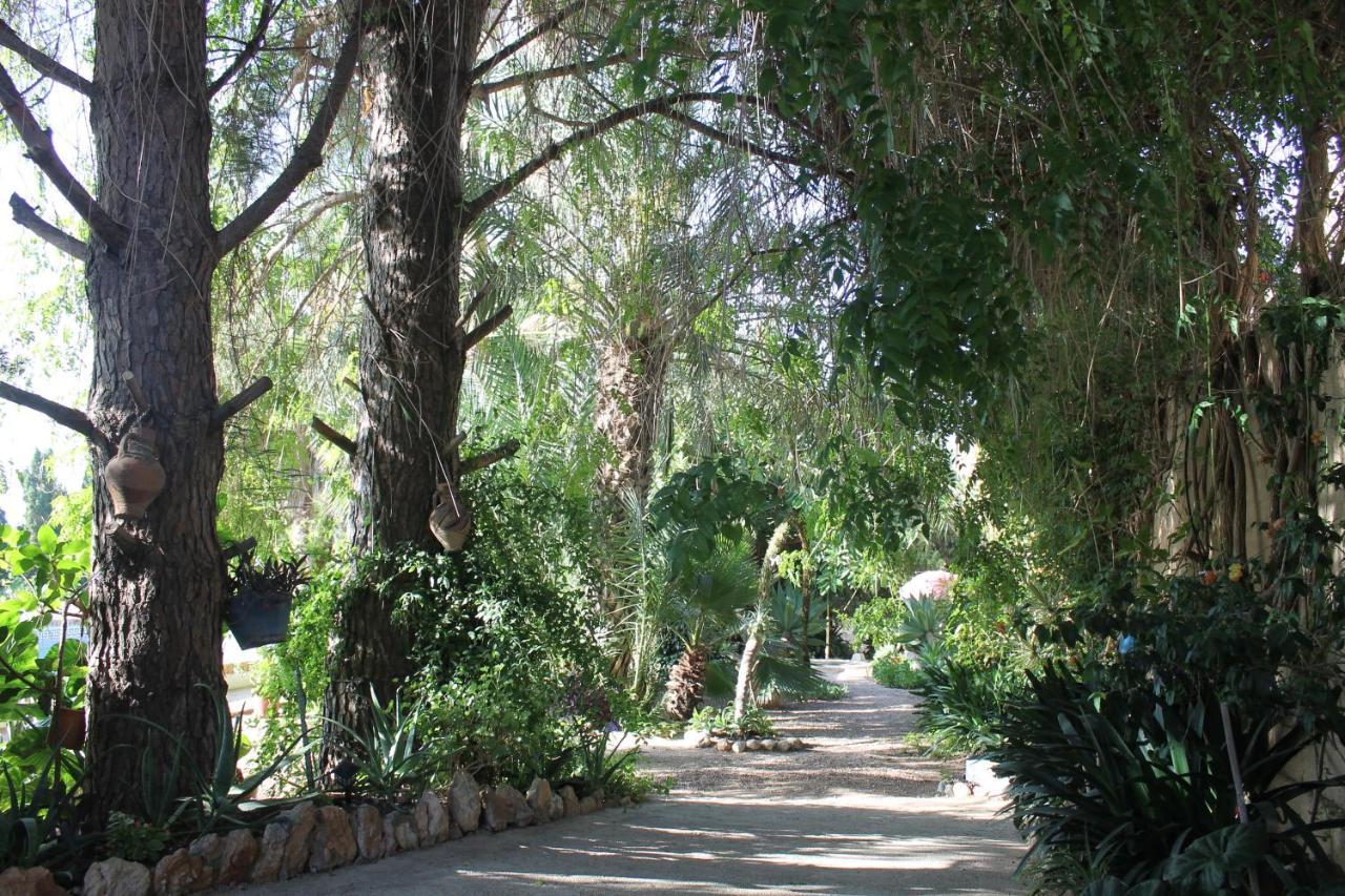 Casa Rural Complex Masia Del Tremendo Y Agroturismo Camarles Dış mekan fotoğraf