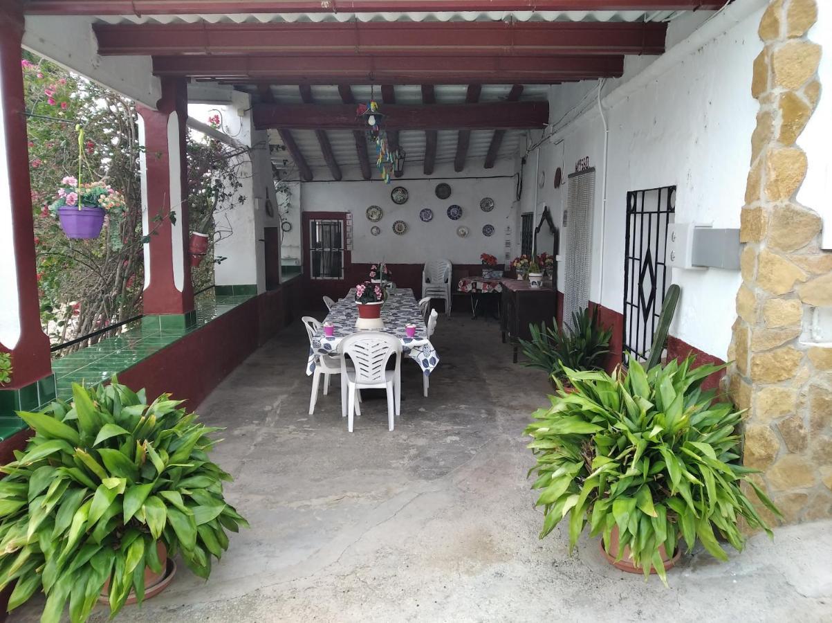 Casa Rural Complex Masia Del Tremendo Y Agroturismo Camarles Dış mekan fotoğraf