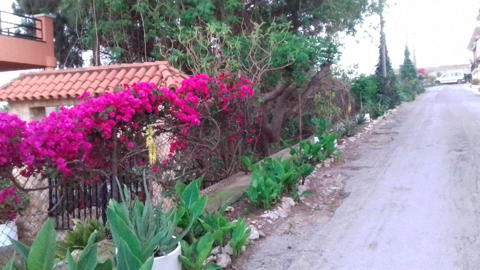 Casa Rural Complex Masia Del Tremendo Y Agroturismo Camarles Dış mekan fotoğraf
