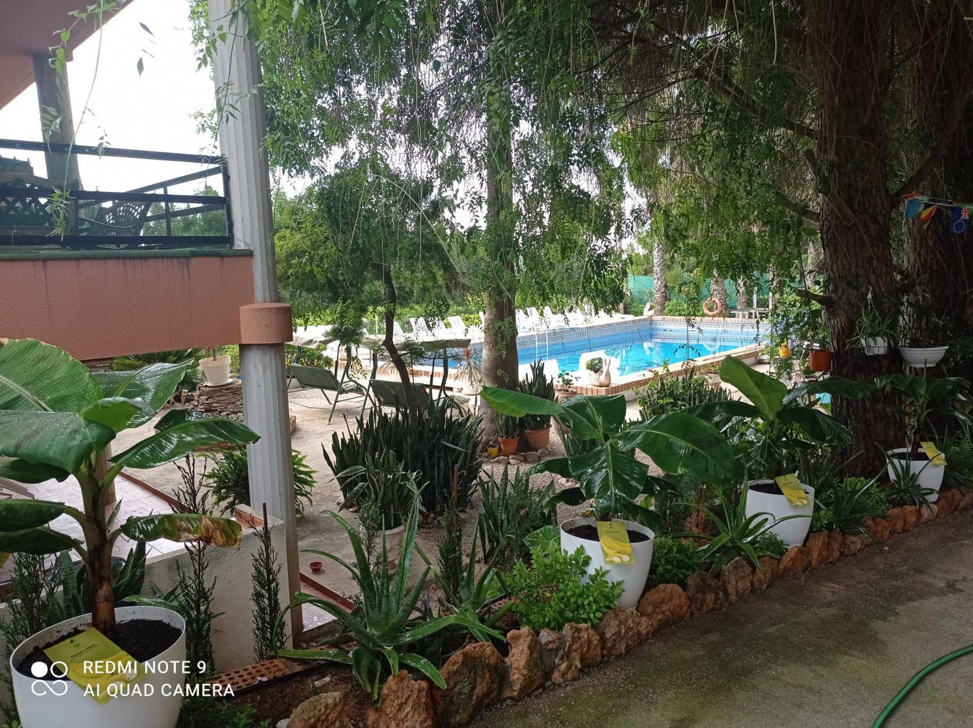 Casa Rural Complex Masia Del Tremendo Y Agroturismo Camarles Dış mekan fotoğraf
